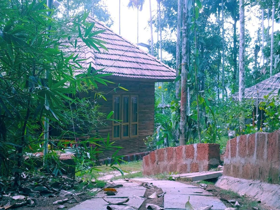 Misty Mornings Resort Ambalavayal エクステリア 写真