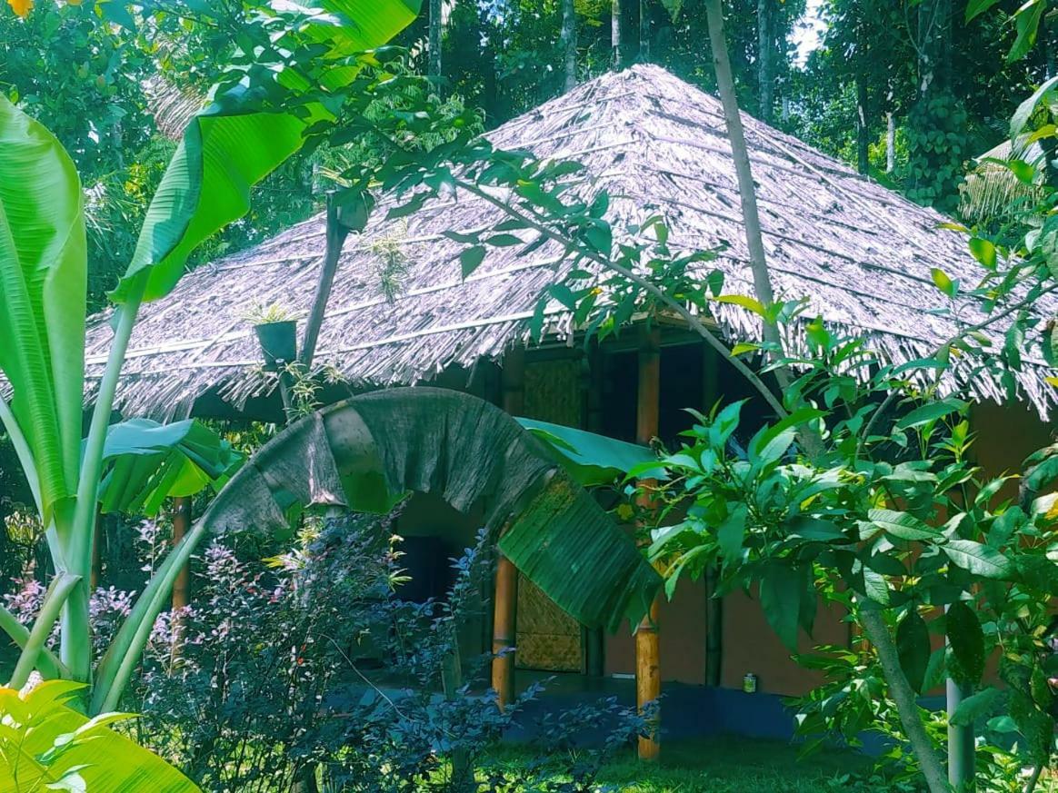 Misty Mornings Resort Ambalavayal エクステリア 写真